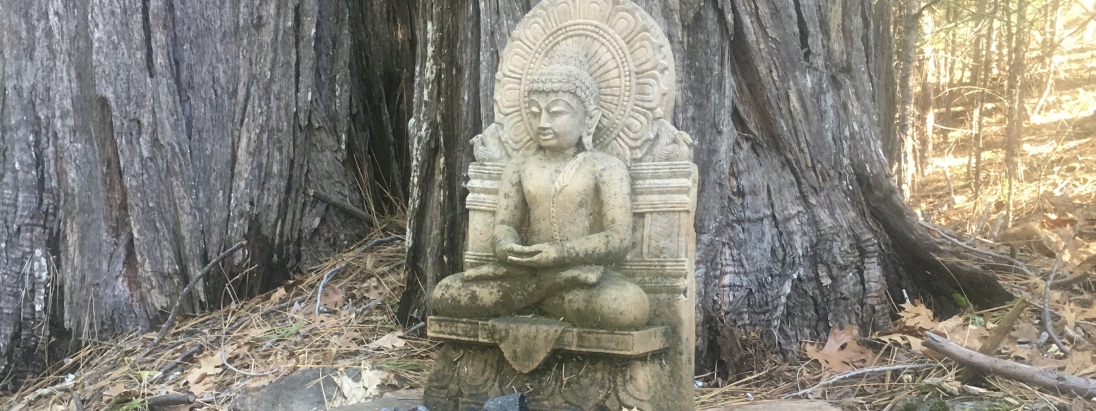 San Francisco Buddhist Center