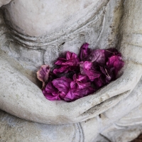 Buddha with flowers