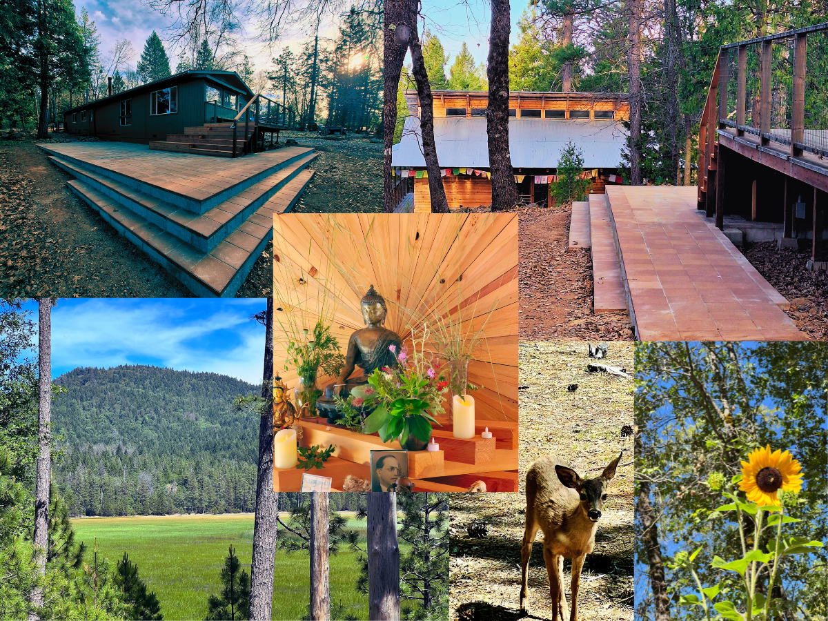 Going for Refuge (GFR) Retreats for Women*