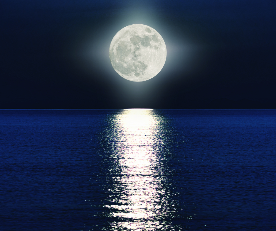 Buddhist Teachings - Introductory Course