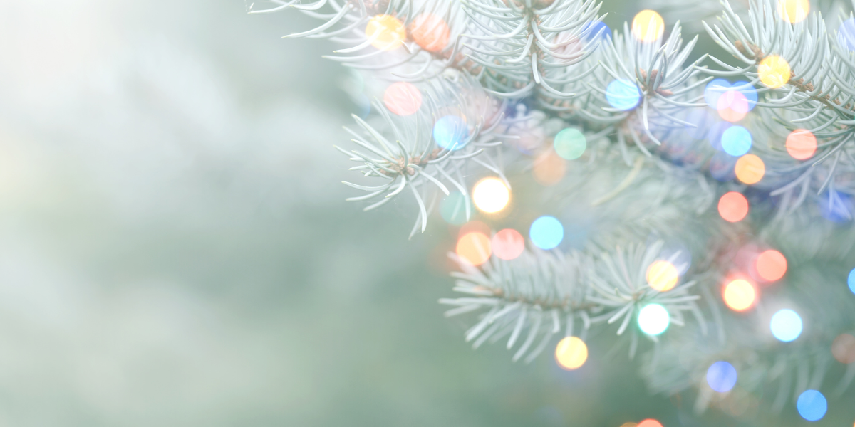 Sangha Nights in December: Compassion and Equanimity