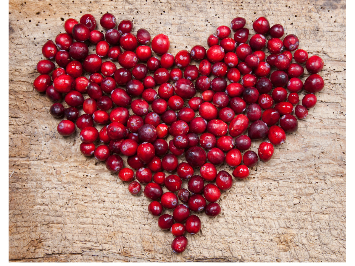 Sangha Nights in January: Wild, Open Heart