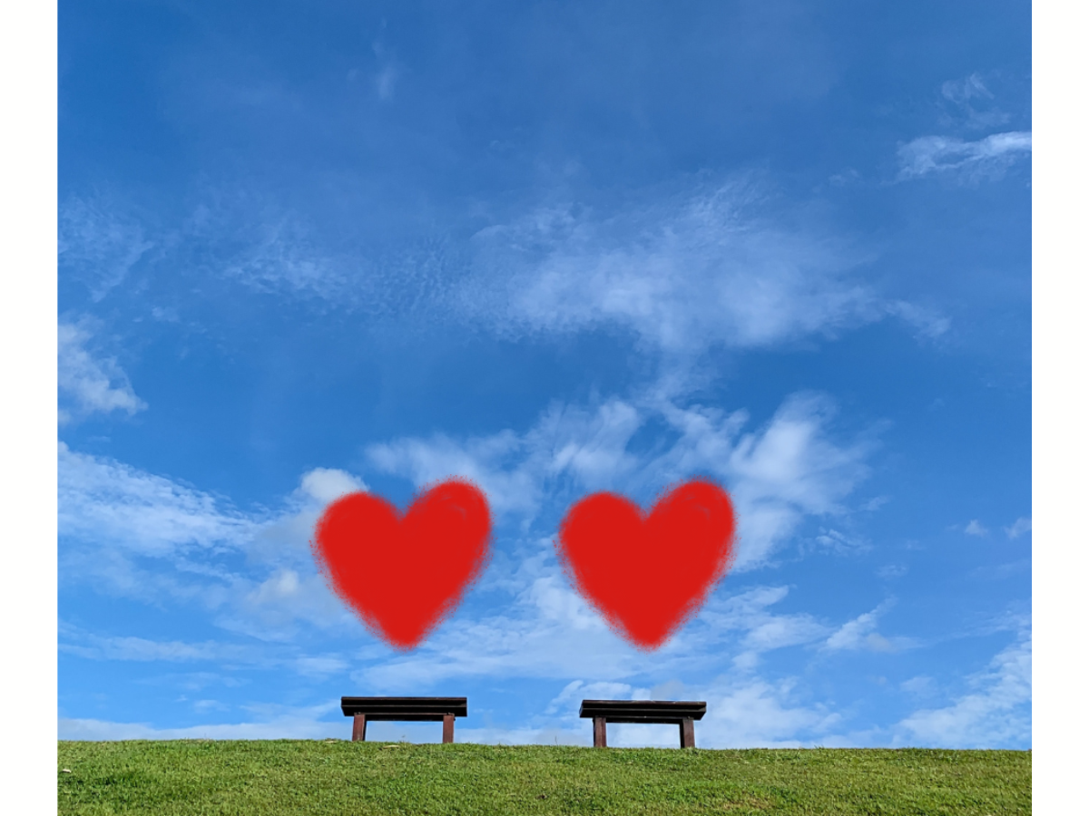 Silent Meditation Morning