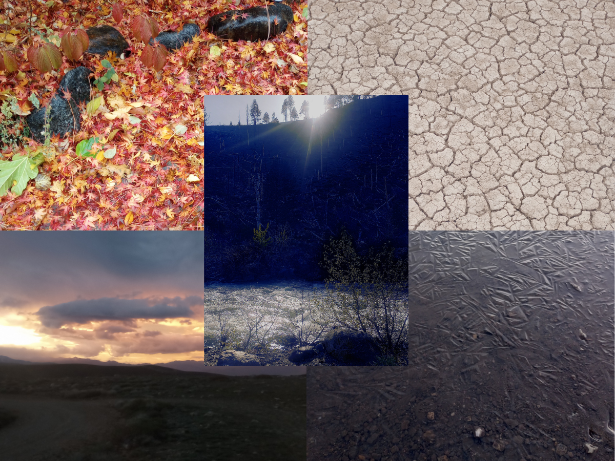 Day Retreat: Remembering the Elements: Opening Beyond the Fixed Self