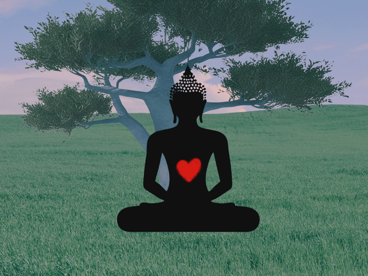 Sangha Night Wednesday May 27
