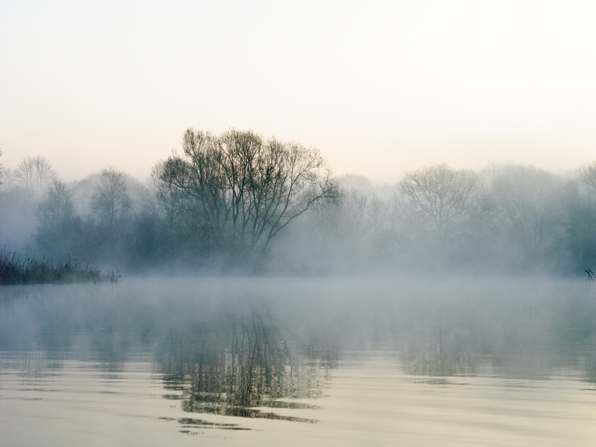 Morning Meditation