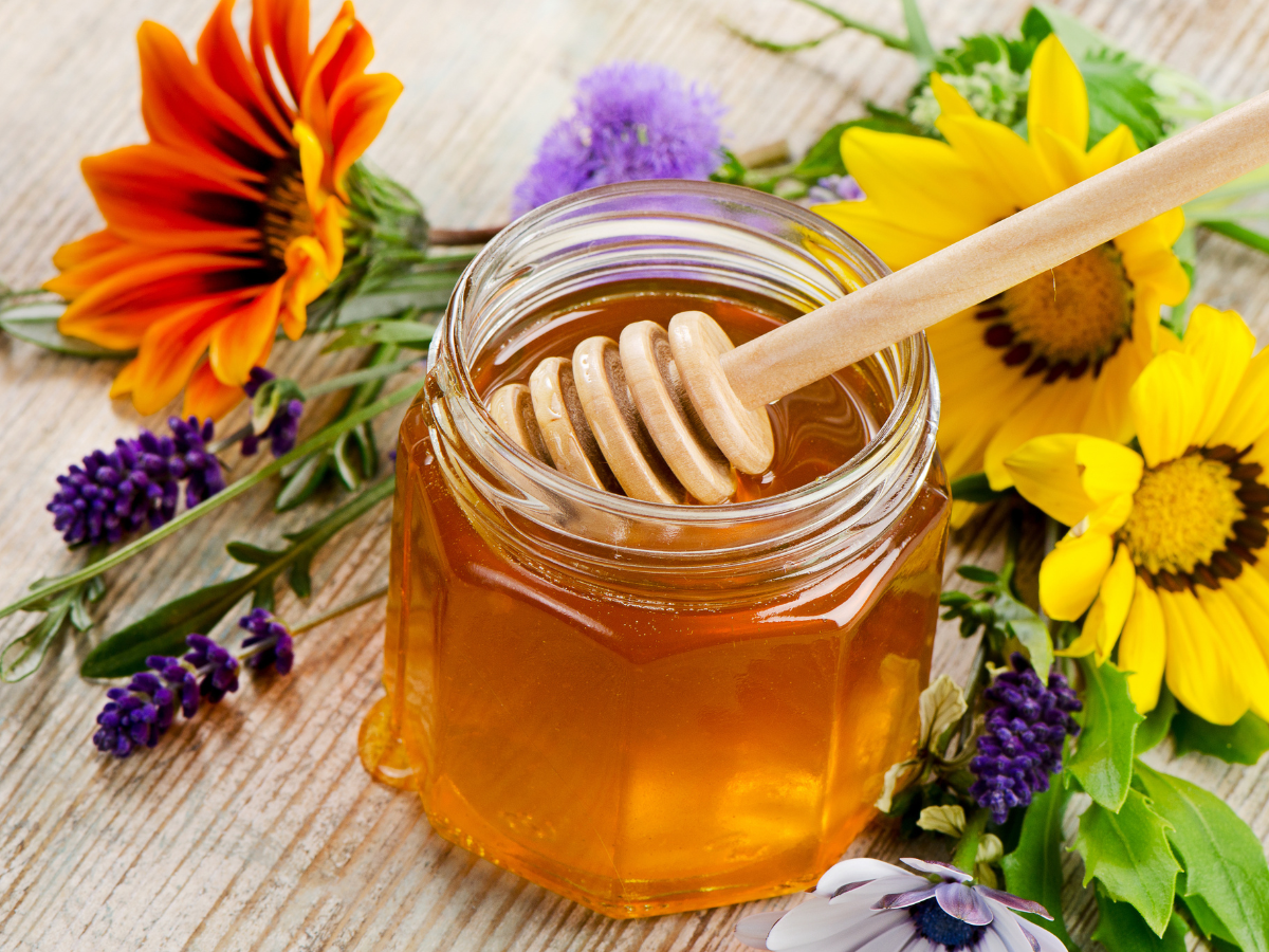 Practice Morning: The Honeyball Sutta