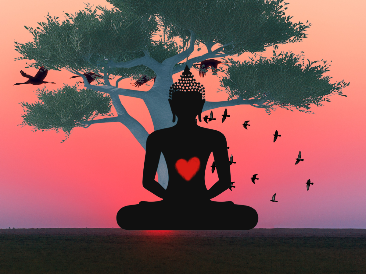 Sangha Night Wednesday June 17