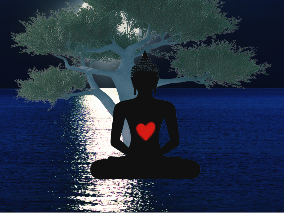 Sangha Night Wednesday July 8