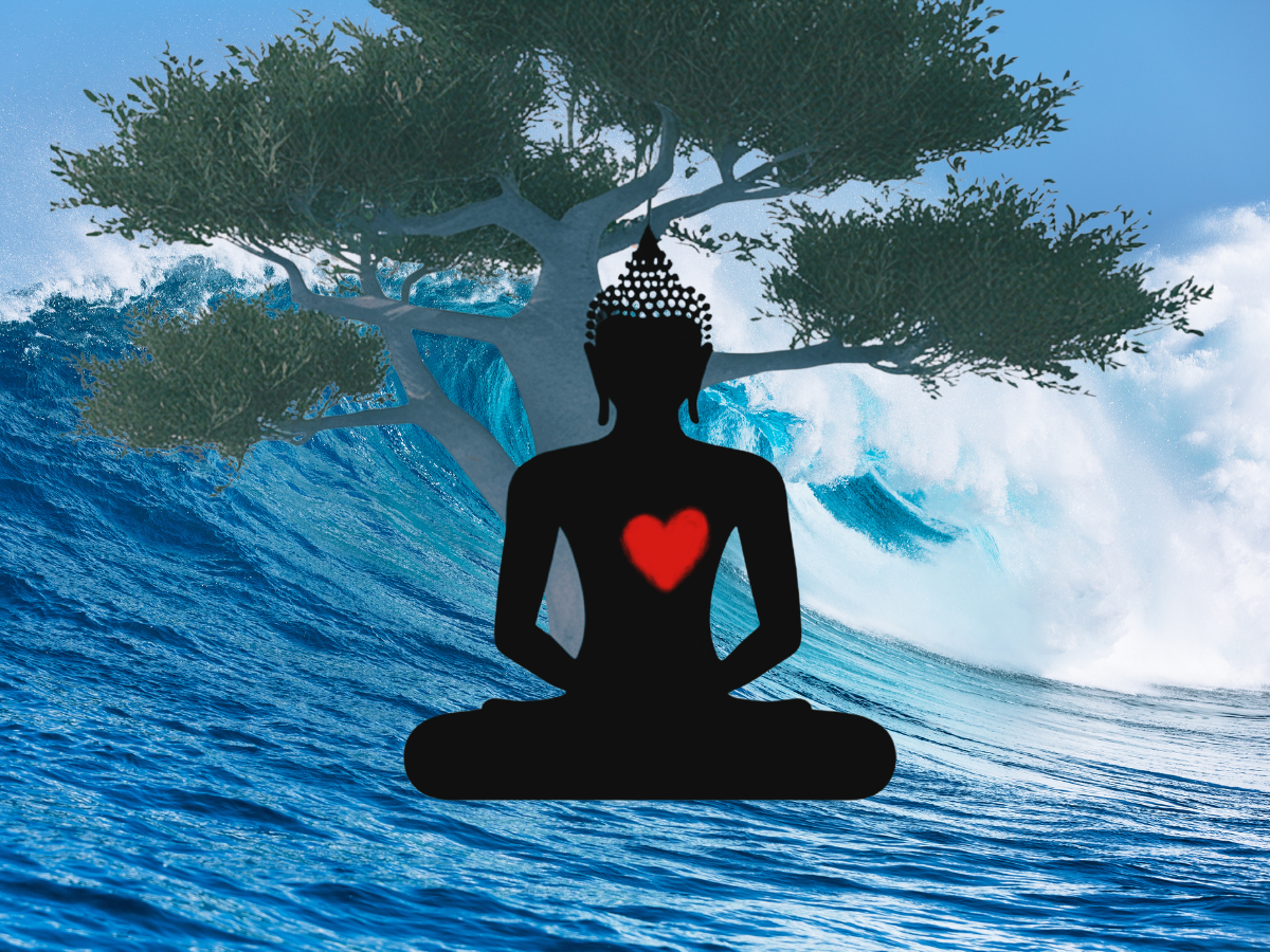 Sangha Night Wednesday July 15
