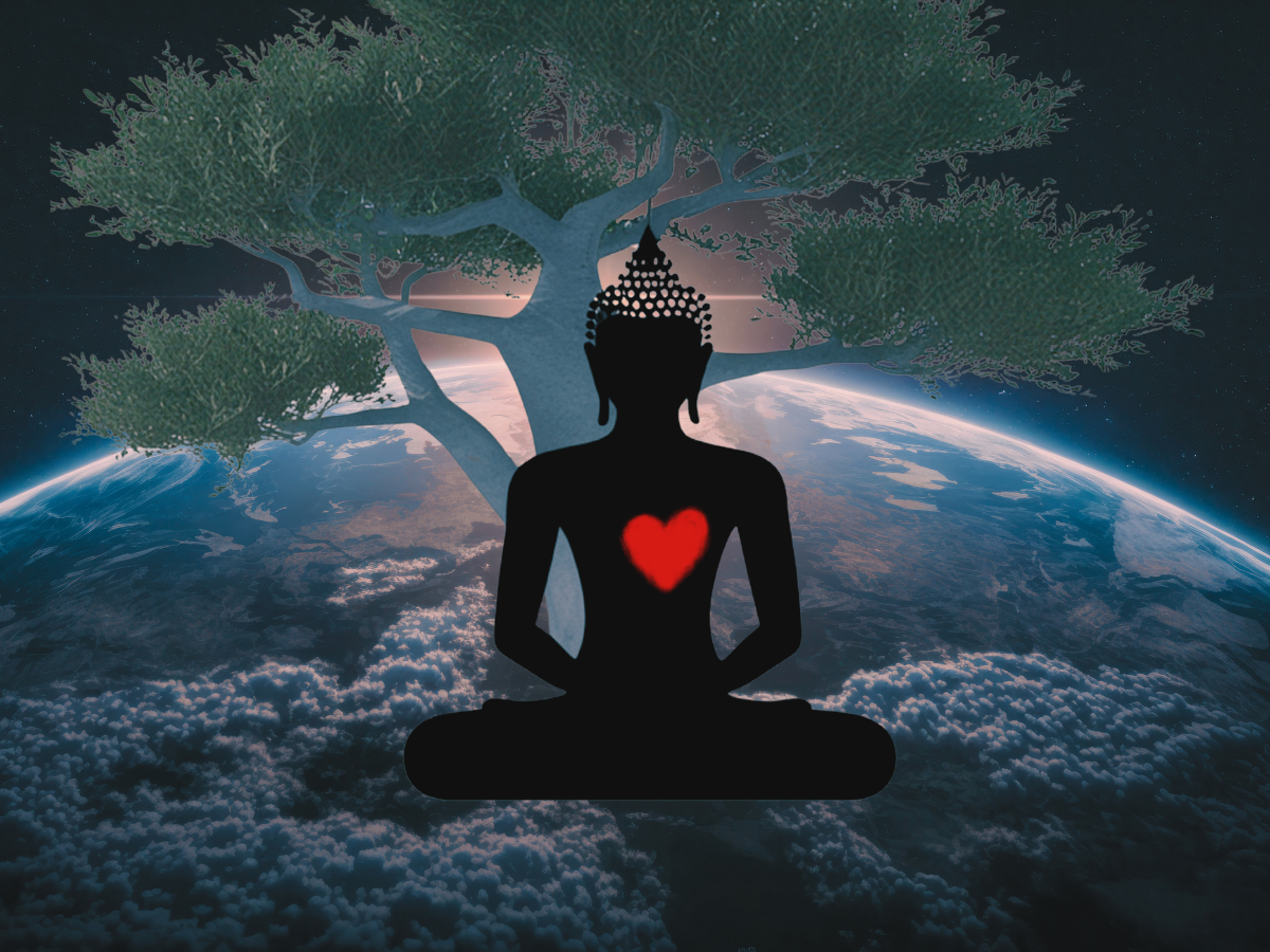 Sangha Night Wednesday July 29